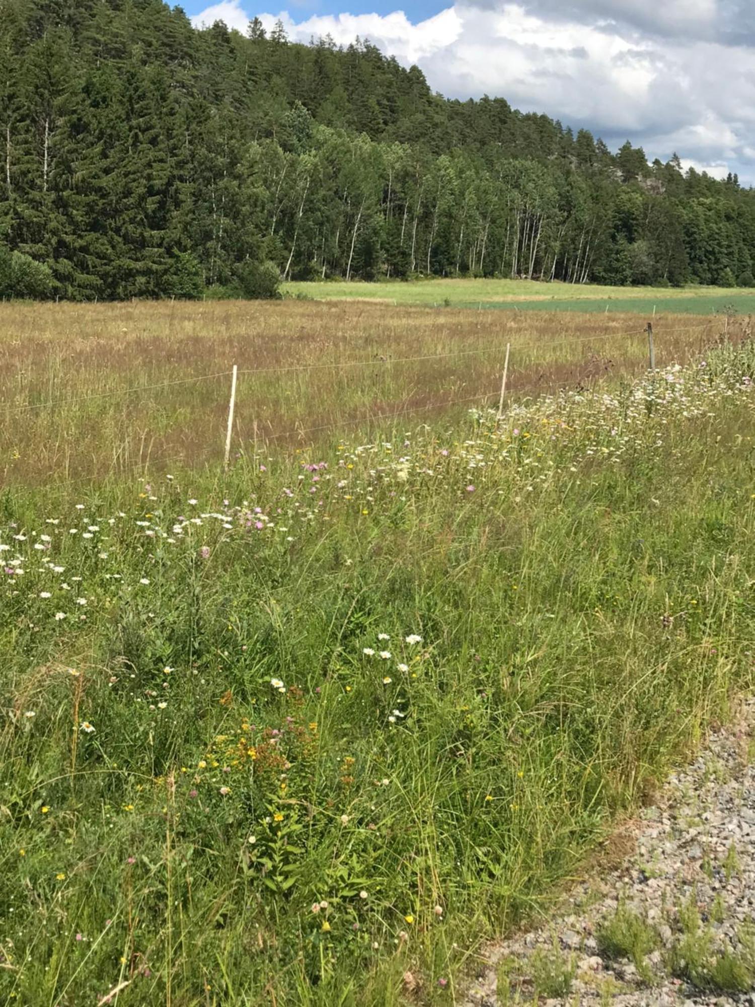 Charmigt Aeldre Hus, Laddbox 22 Kw, 5 Bil-Minuter Till Bad Strömstad Exteriör bild